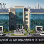 Understanding Sui Gas Organizations in Pakistan